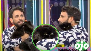 ‘Peluchín’ conquista a los televidentes de “Amor y Fuego” al aparecer junto a su gatita Sascha 