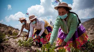 Día de la Mujer: conoce cuántas hay en Perú, dónde viven y su estado civil 