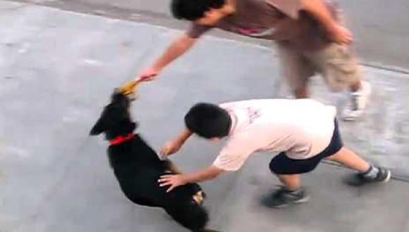 Los Olivos: Perro rottweiler ataca a niño de cuatro años