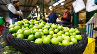 Precio del limón cae de S/ 8 hasta los S/ 2 por kilo en mercados mayoristas de Lima