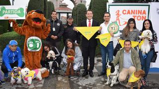 CANINATON 2022: Asociación Peruana de Protección a los Animales organiza evento en Lima y Piura