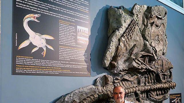 ​Esqueleto de un reptil marino enloquece a la comunidad científica