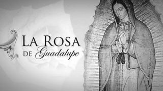 La Rosa de Guadalupe: fallece recordada actriz de la serie mexicana 