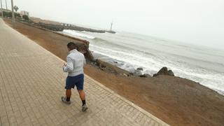 Gripe aviar en Perú: Alcalde de Miraflores solicitará al Minsa cierre temporal de playas por prevención 