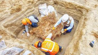 Chilca: hallan ocho fardos funerarios con más de 800 años de antigüedad