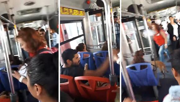 Joven agrede a mujer en bus porque no lo dejaron llevar a su perro (VIDEO)