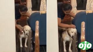 Perrito se siente mal y su dueña intenta curarlo pasándole un huevo