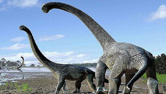 ¡Increíble! Huesos de dinosaurios eran molidos para darlos como comida 