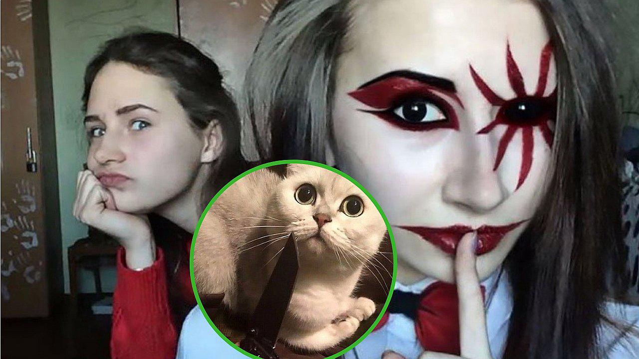 Tres jóvenes son enviados a prisión por torturar y asesinar a perros y gatos (FOTOS)