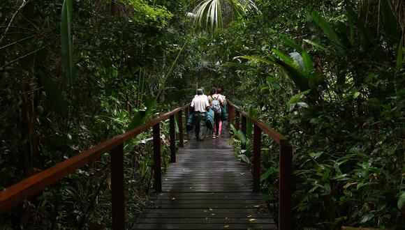 La Reserva Nacional de Tambopata, en Madre de Dios, se extiende sobre 274.690 hectáreas (Foto: Alessandro Currarino).