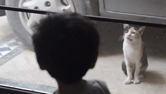 Facebook: Niño enternece al comunicarse así con su gato [VIDEO]