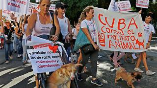 ​Cubanos marchan contra maltrato animal en manifestación que tolera dictadura