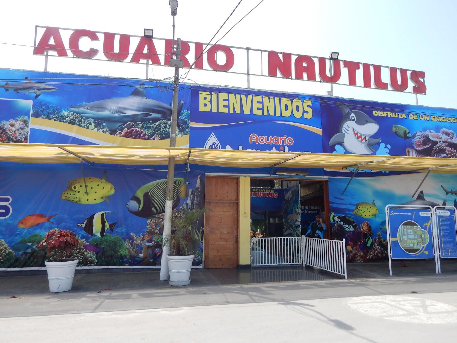 Acuario Nautilus