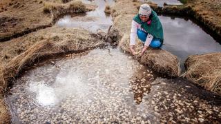 Más de 100 peruanas lideran la gestión del agua y el uso de los recursos hídricos 