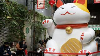 ¿Sabe qué país de Asia prefiere celebrar el Año del Gato y no el Año del Conejo?