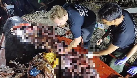 Ballena es hallada muerta con 40 kg de basura en su estómago