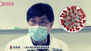 Científico asegura que China “encubrió” los primeros casos de covid-19 y destruyó evidencia
