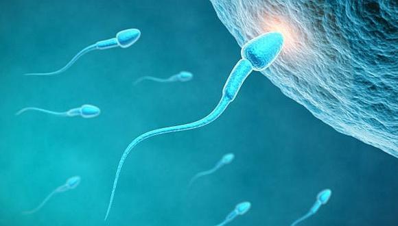​Alteraciones en proteínas del esperma provocan fallos de fecundación