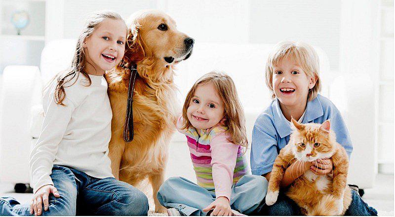 "Mascoteando": feria familiar se realizará el 2 y 3 de diciembre