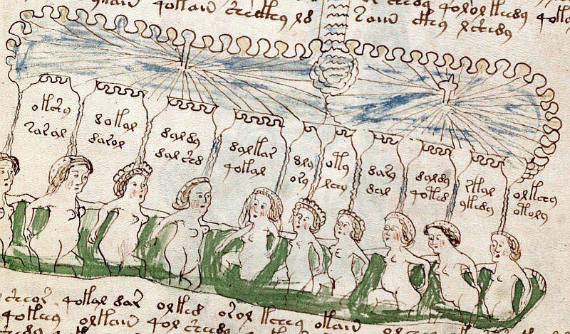 ¡De no creer! El Manuscrito Voynich, el libro más misterioso del mundo, sale a la venta