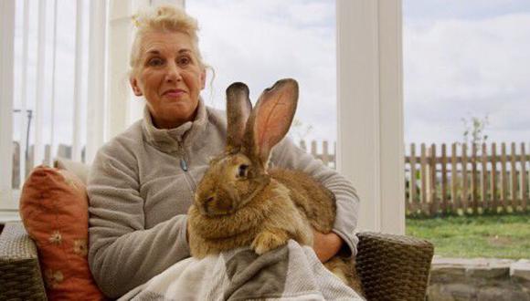 Annette Edwards junto a Darius, su conejo desaparecido y el ganador del récord Guinness del 2010 por su gran tamaño. (Foto: Twitter)