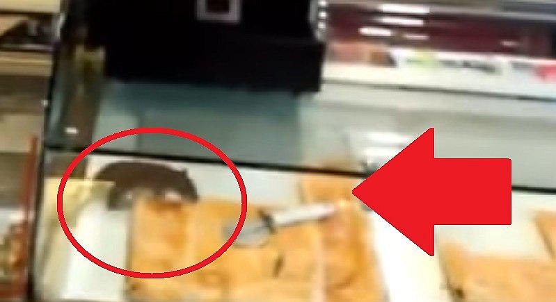 YouTube: captan cómo una rata se deleita con empanadas frente a clientes (VIDEO)