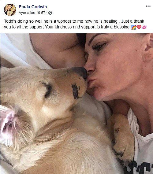 Perrito salva a su dueña de ser mordida por una  una serpiente venenosa 