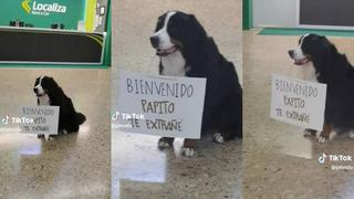 Perro espera a su dueño en el aeropuerto con emotiva pancarta: “Bienvenido, papito, te extrañé”