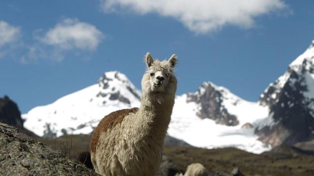 La Caminata Ausangate en Cusco, fue elegida como uno de los mejores 20 lugares para visitar en el año 2020. (Foto: El Comercio)