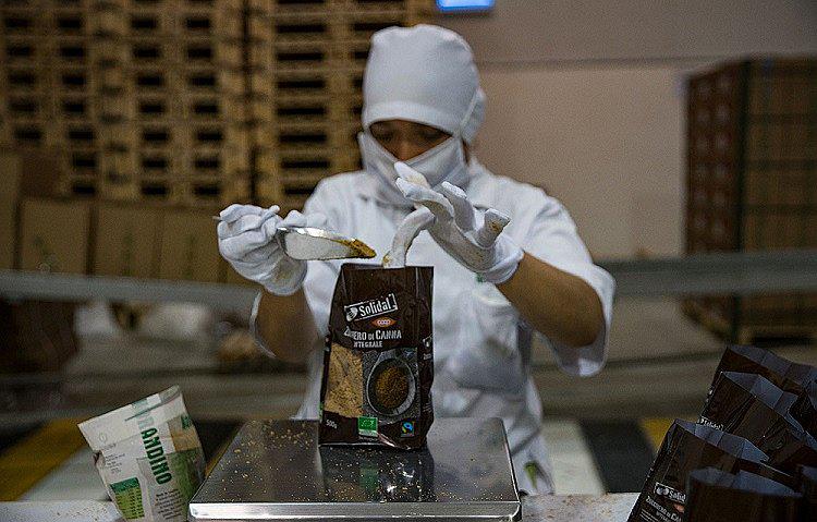 ​Feria hará degustar café, cacao, aceitunas, leche y papas gratis