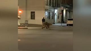 “Rata humana gigante” es captada en una calle de Nueva York 