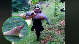 Rescatan delfín rosado que había quedado atrapado en quebrada (VIDEO)