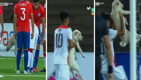 Perrito se mete a la cancha del Perú vs. Chile por el Sudamericano sub 17 (VIDEO)