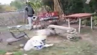 “Me quedé con miedo”: filmó a un ‘duende’ corriendo a toda velocidad y se hace viral en TikTok [VIDEO]