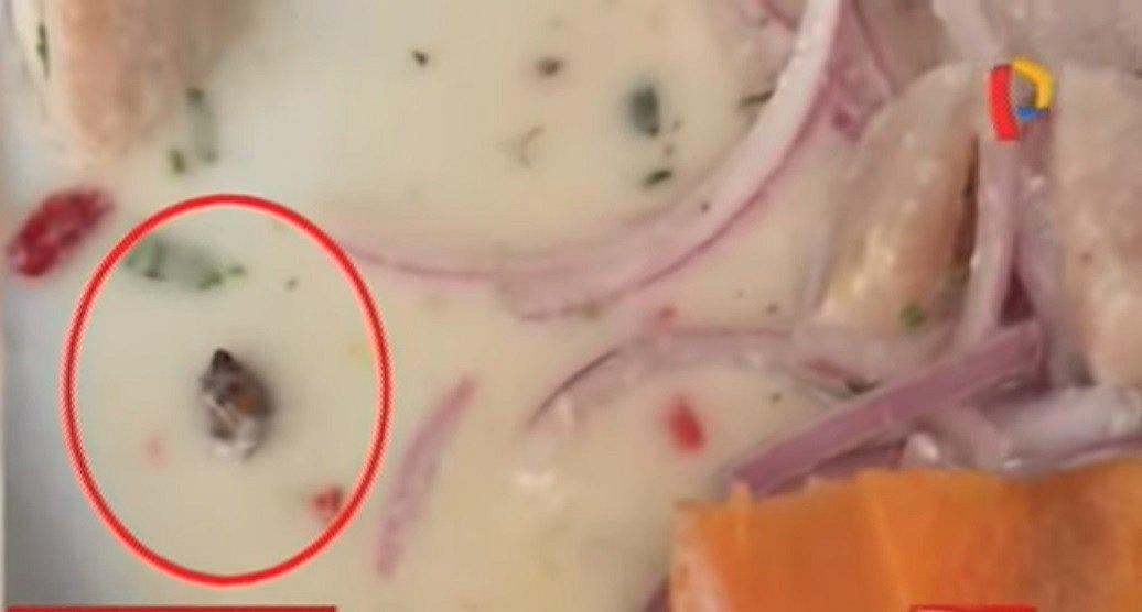 ​Comensal encuentra insecto en ceviche de conocido restaurante (VIDEO)