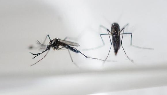 Virus Zika: Reportan primer caso de esta temible enfermedad en el Perú