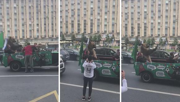 Oso viajando en auto por avenidas de Rusia se viraliza durante el Mundial (VIDEO)