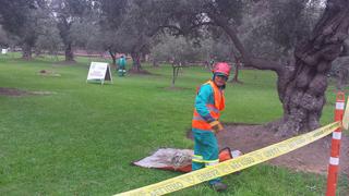 San Isidro: Inician recuperación de más de 2000 árboles de El Olivar