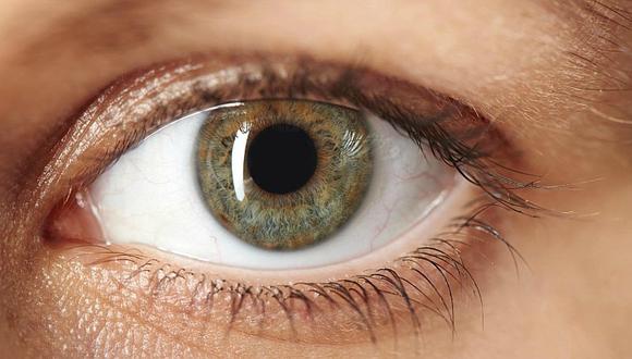 El sentido de la vista: ¿cómo funcionan los ojos?