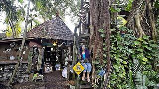 Desalojan a abuelita de un árbol donde hizo su casa y vivió 25 años [VIDEO] 