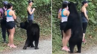 Mujeres se cruzan cara a cara con oso salvaje y así reaccionaron para evitar ataque | VIDEO