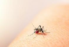 Ciclón Yaku: ¿Cómo prevenir la propagación y contagio del dengue?