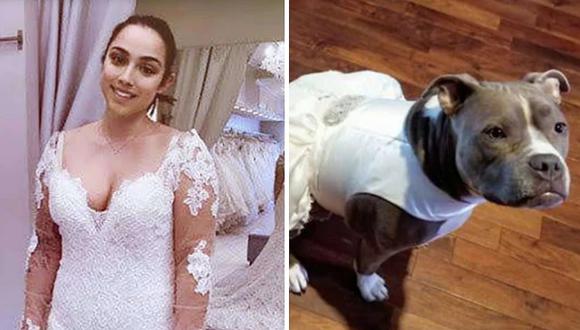 Mujer compra vestido de novia a su perrita para que la acompañe el día de su boda 