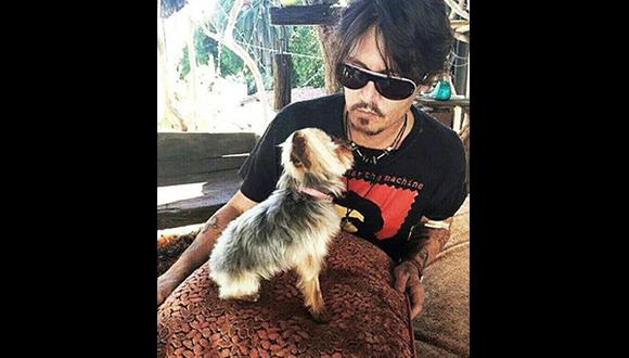 Johnny Depp: Australia sacrificaría a sus perritos   