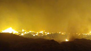 Ancón: reportan un incendio forestal a la altura del Km 42 de la Panamericana Norte