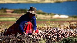 Hoy se celebra el Día del Campesino