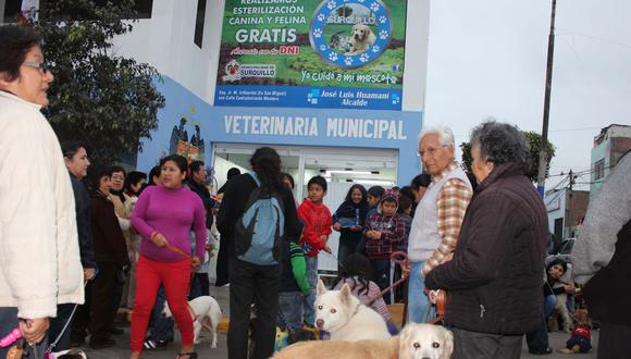 Perros serán atendidos gratuitamente en veterinaria municipal de Surquillo 