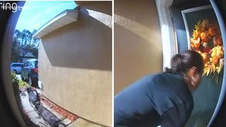Mujer se desmaya en su casa y sus perros van a pedir ayuda a casa de la vecina (VIDEO)