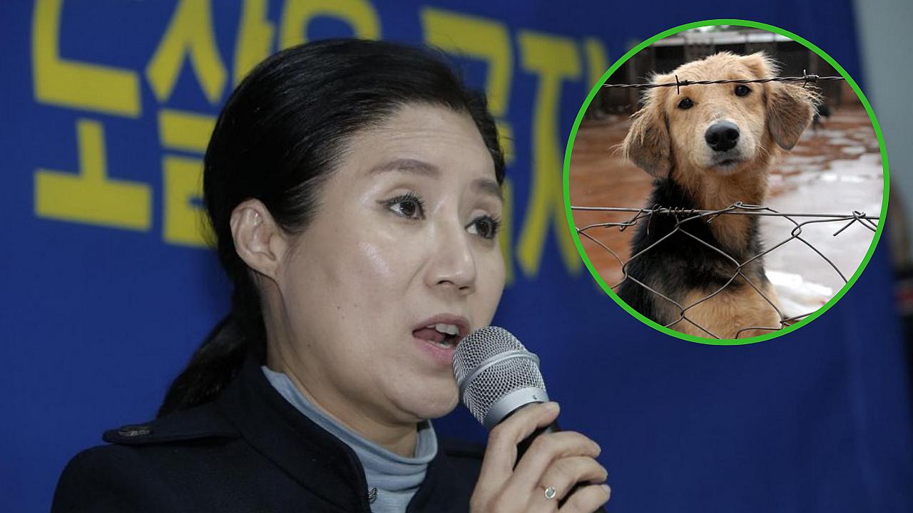 Defensora de animales de reconocida ONG animalista resultó ser asesina en serie de inocentes perros