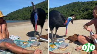 Viral: Turistas juegan con ave sin saber que es la más peligrosa y mortal del mundo